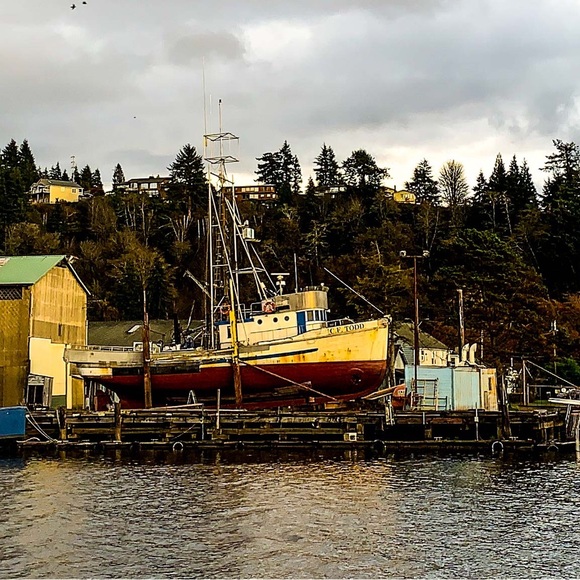 Halcyon Loftstyle presents: Halcyon Images - Picture 6 of 16